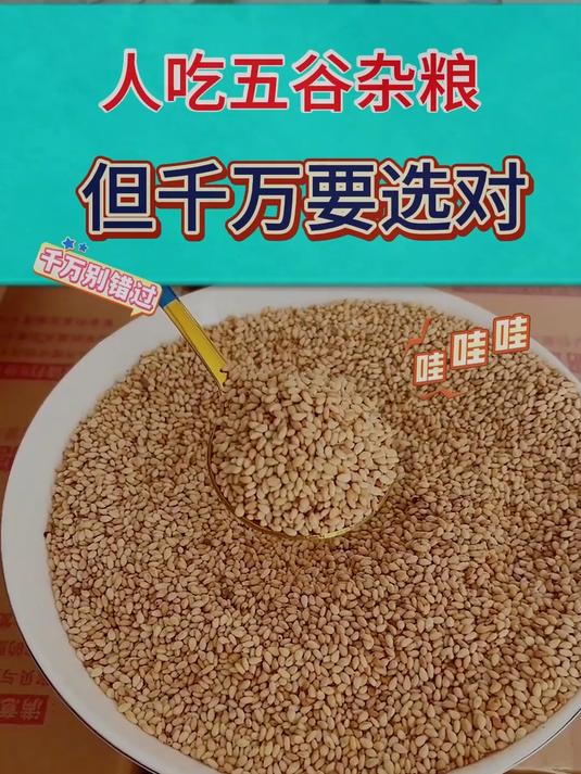 熟白芝麻,新鲜即食,免洗炒熟芝麻