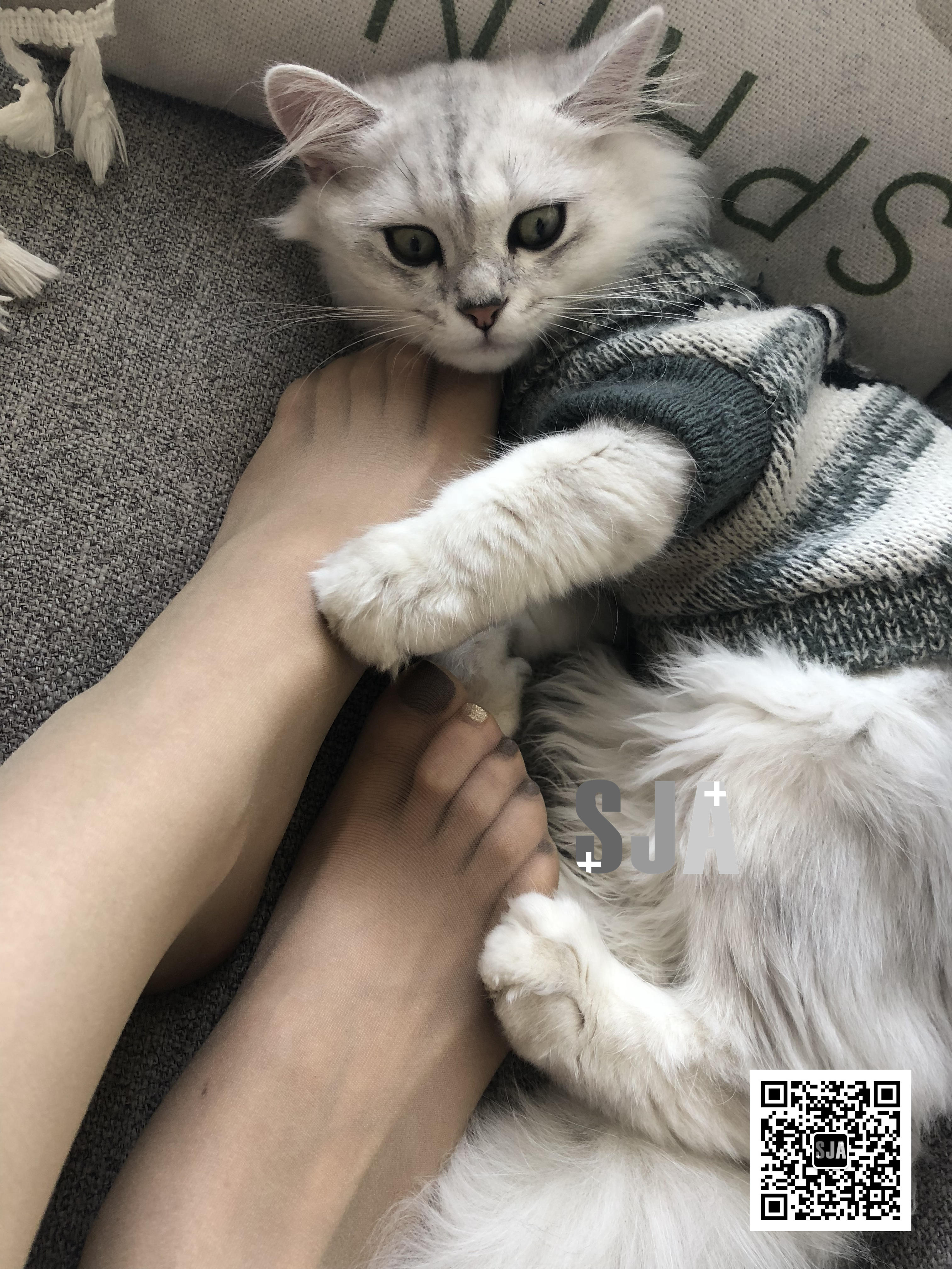 图片[33]-[SJA佳爷]闺蜜视角 NO.013 喵 [60P+81M]-六色网