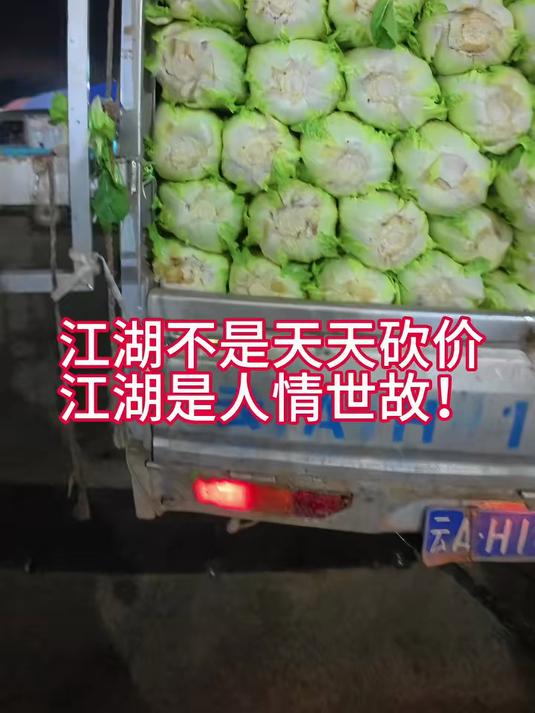 第一视角带你蔬菜采购!菜价高低都要买!
