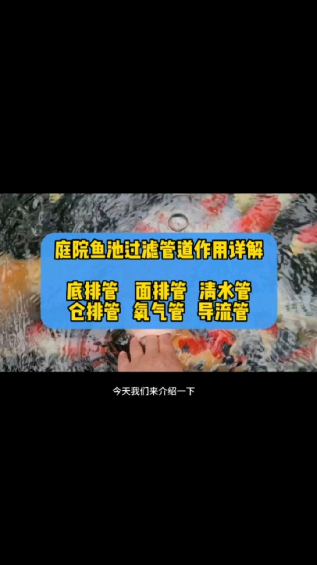 讲解庭院鱼池过滤管道作用