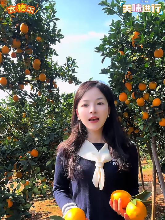 江西赣南脐橙熟了快来品尝今年的新鲜橙子了