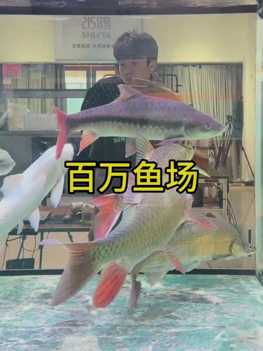 非常开心来到了豆鱼路亚大家庭