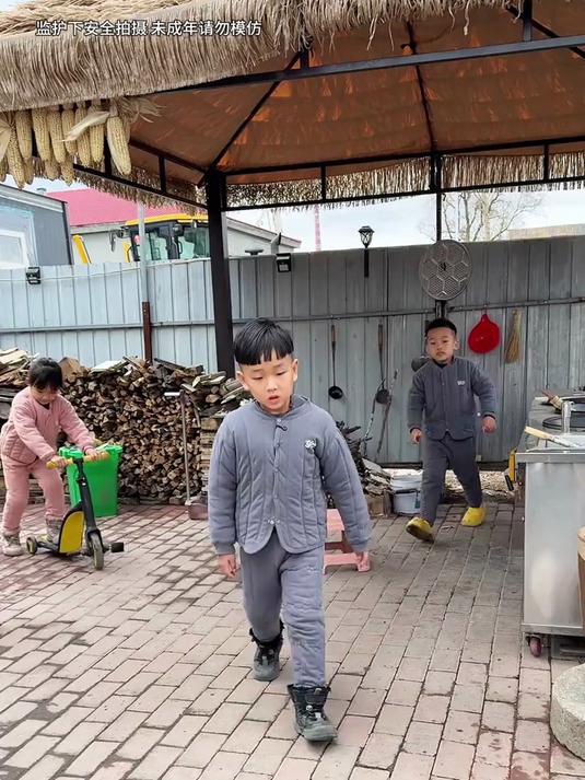 东北这个又到吃野菜的季节了