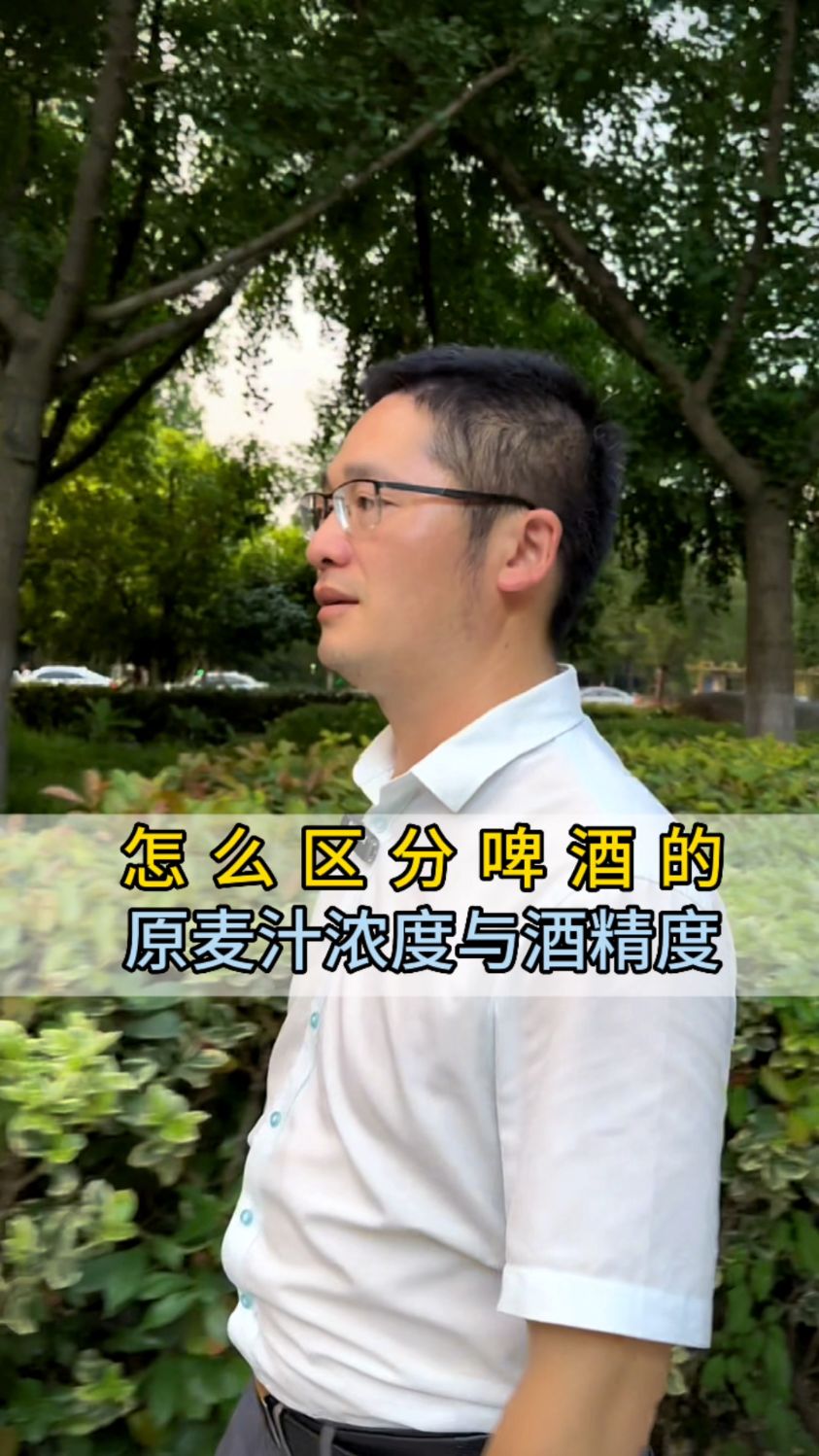 怎么区分啤酒的麦芽浓度和酒精度