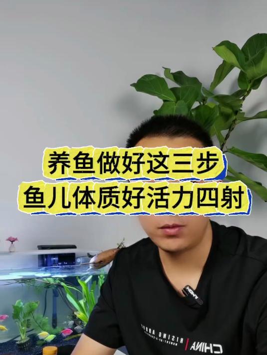 养鱼必做三部曲