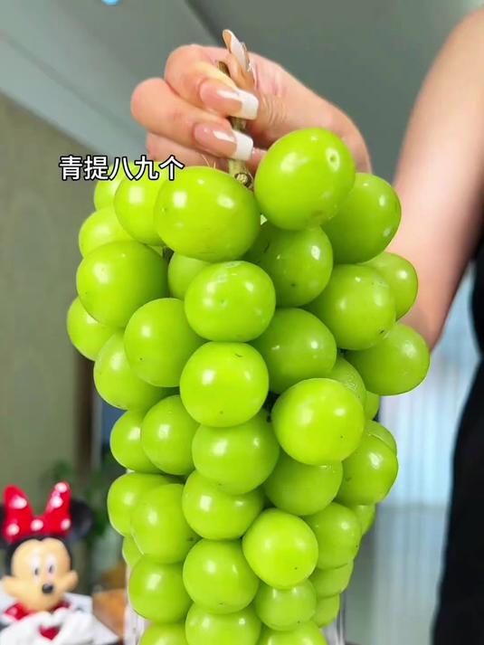 家用便携榨汁机,随身好携带,露营/宅家都能秒榨果蔬汁