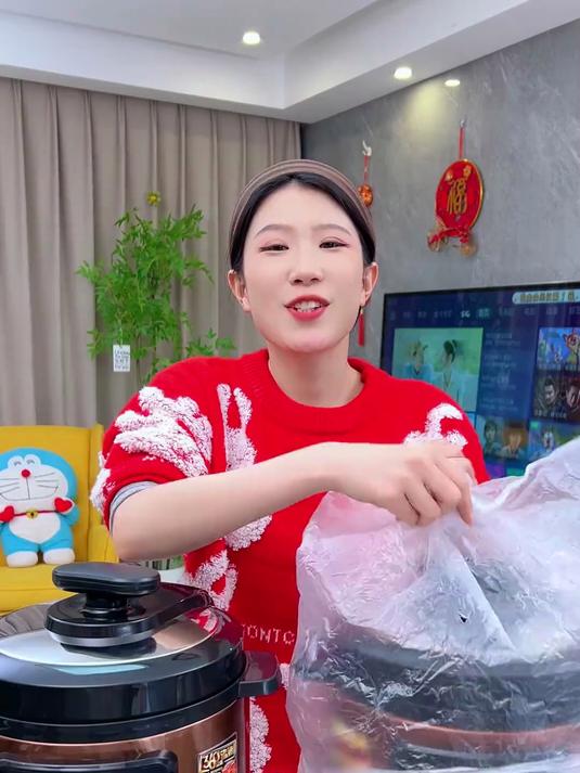半球的双胆高端电压力锅，煮饭煲汤不串味，又快又好吃，主要价格太划算了#厨房好物##电压力锅