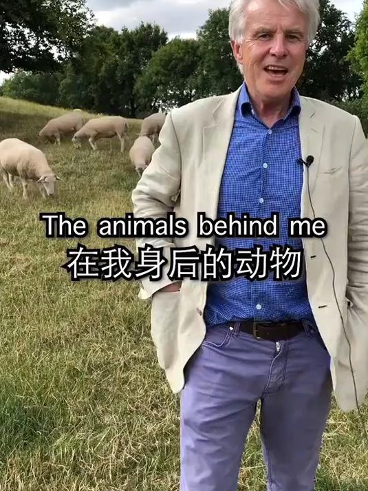 英语中“sheep”的复数形式怎么说_