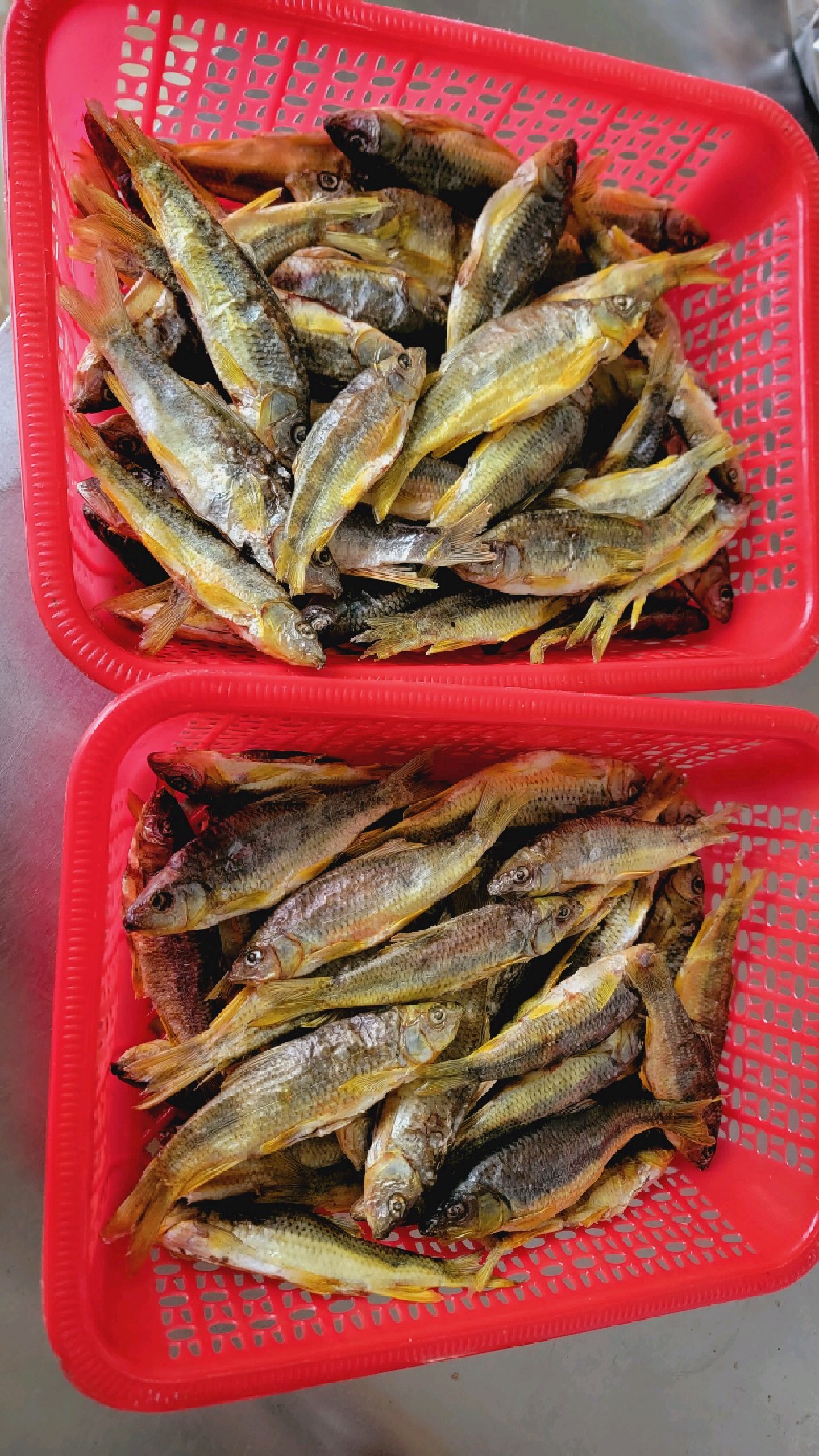 在农村就是这样,什么都折腾一下