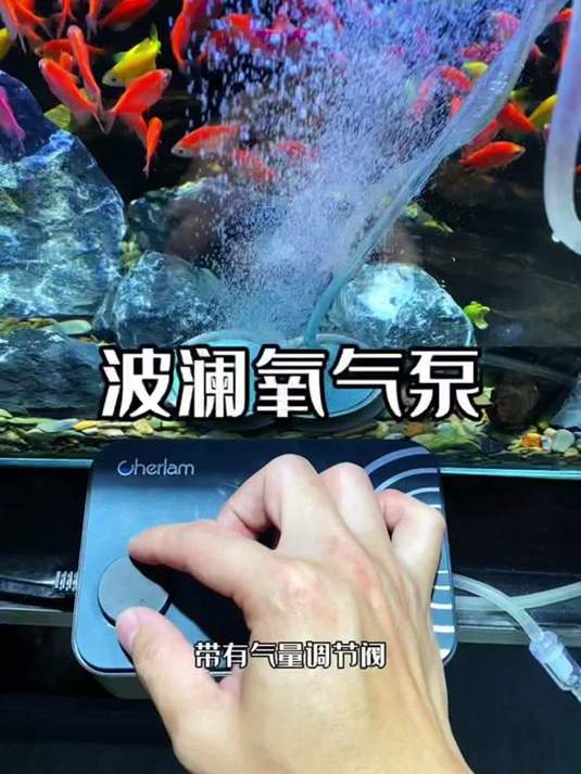 选鱼缸氧气泵犯难?试试这款 静音大气量 售后有保障