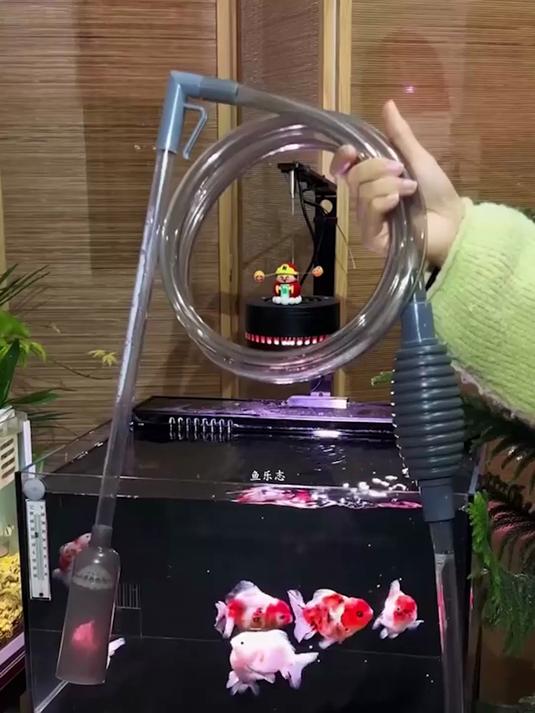 鱼缸底部脏污难清理，专用虹吸换水器，只抽污水完好保留底砂#鱼缸清洁神器##吸水器##抽水器
