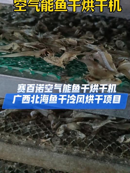广西北海鱼干冷风干燥,采用空气能烘干机控温加除湿