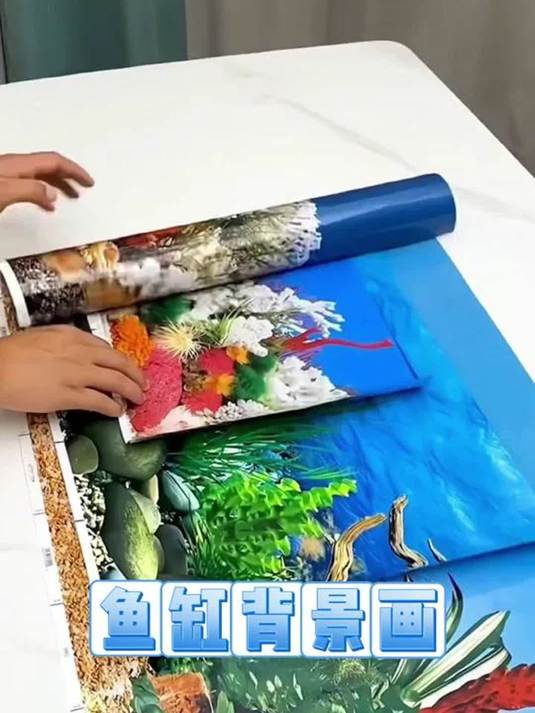 贴张背景纸 鱼缸秒变海底世界 效果超棒