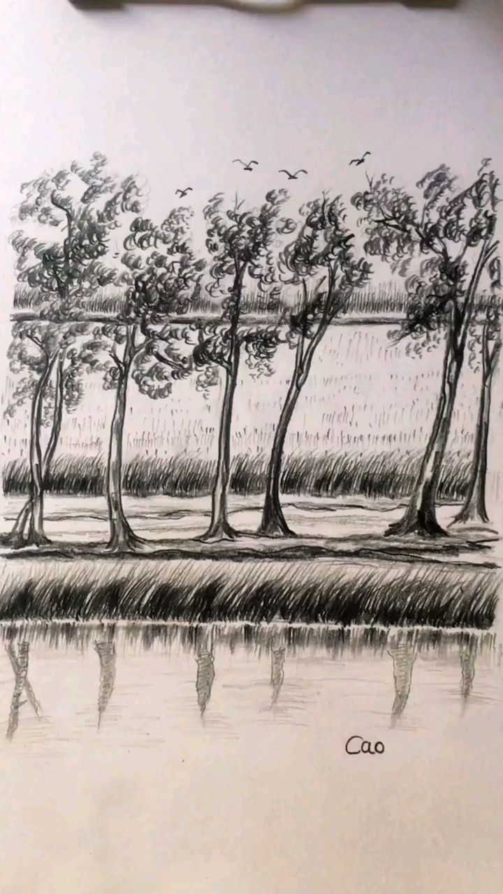 素描简笔画:教大家画路边风景