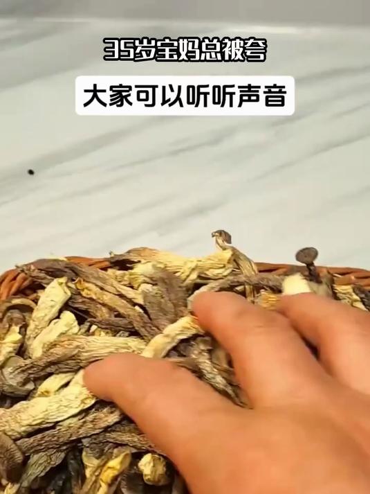 你知道吗?这碗鹿茸菇炖鸡汤专治体虚乏力