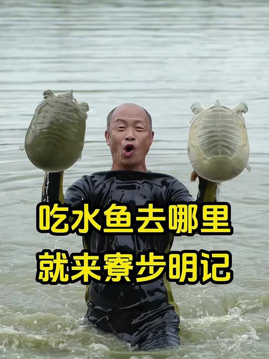 寻味东莞：寮步明记水鱼