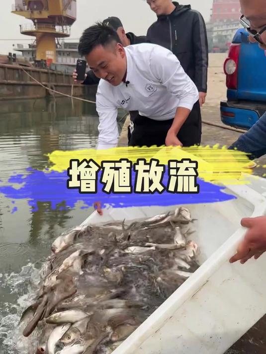 盘老板放鱼苗 为保护生态 尽一点绵薄之力(1)