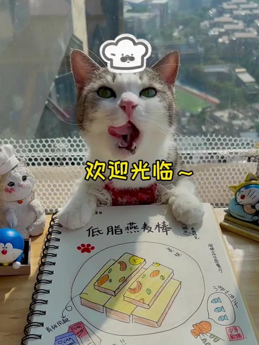 猫咪做的低脂燕麦棒,要不要来一份