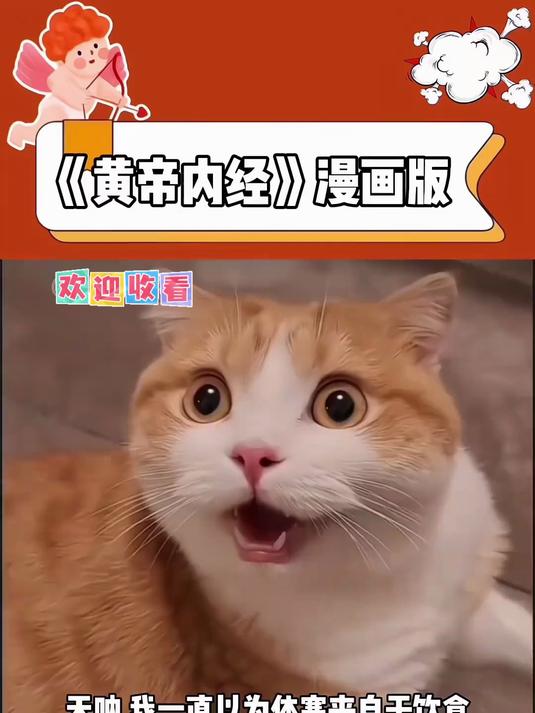 每个人都应该自学中医，黄帝内经漫画版，看的懂用的上，人人必备