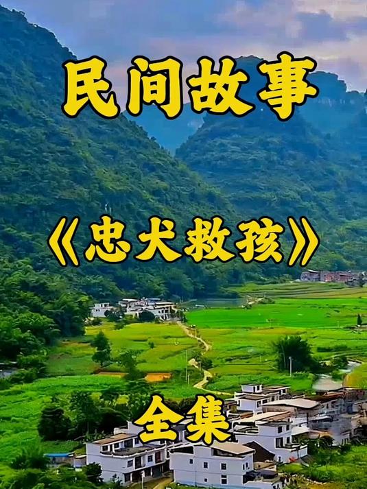 忠犬救孩全集！乡村美景里的感人故事 #民间故事#