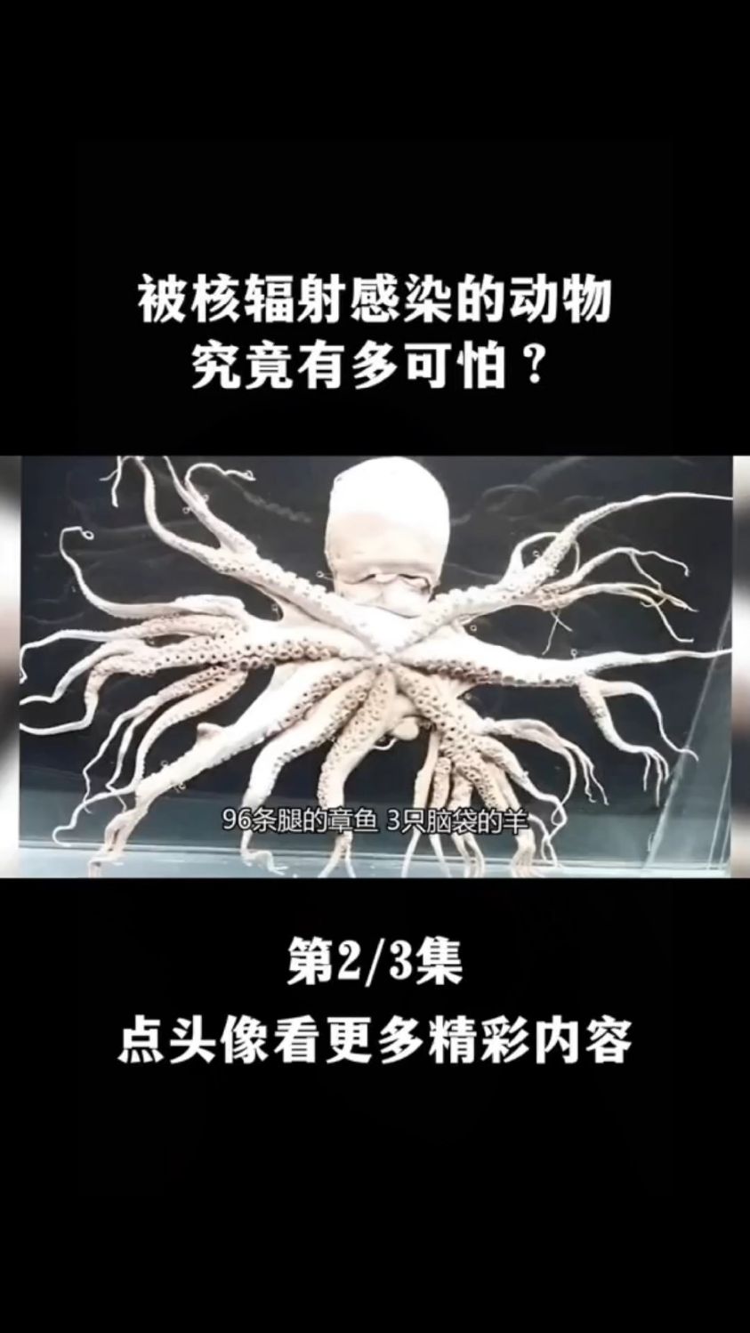 核辐射感染的动物究竟有多可怕?