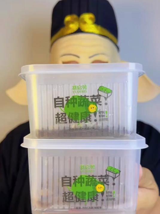 种的空心菜发芽了 再在种一个油麦菜