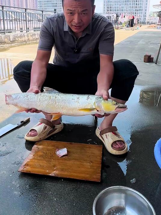 鳡鱼怎么烧才好吃？