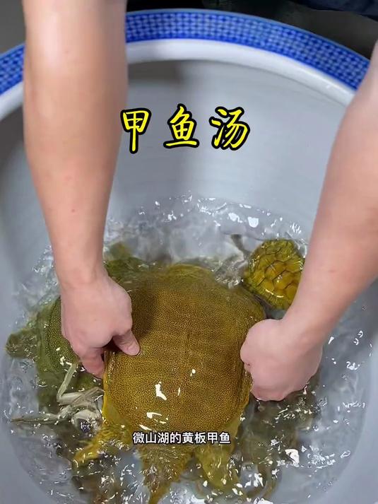 最美微湖渔家菜,人间至味解乡愁——微山湖甲鱼汤