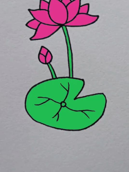 简笔画:画荷花