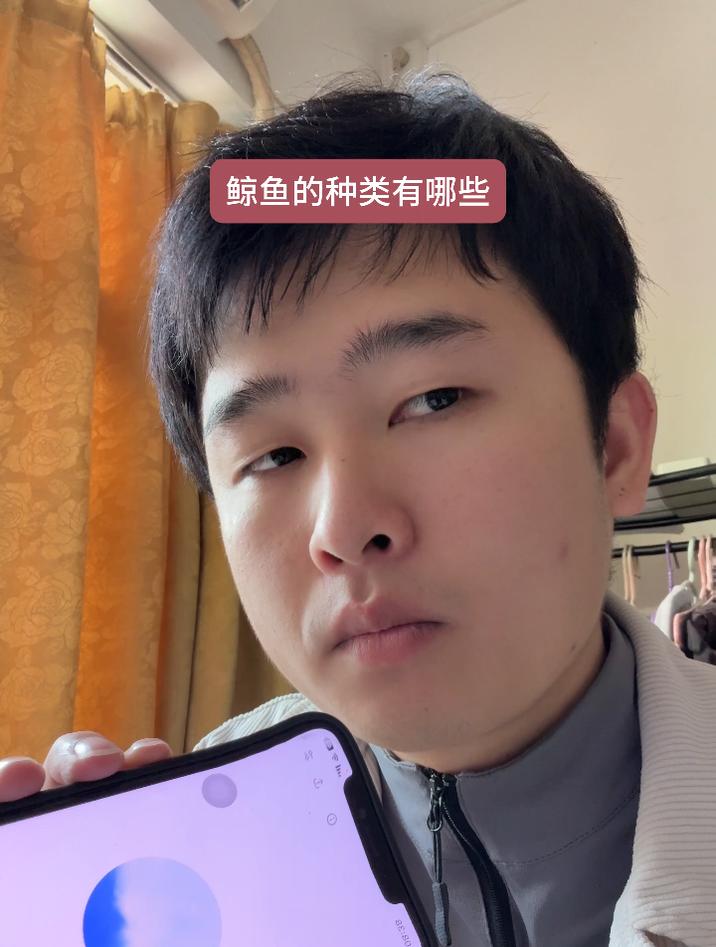 鲸鱼的种类