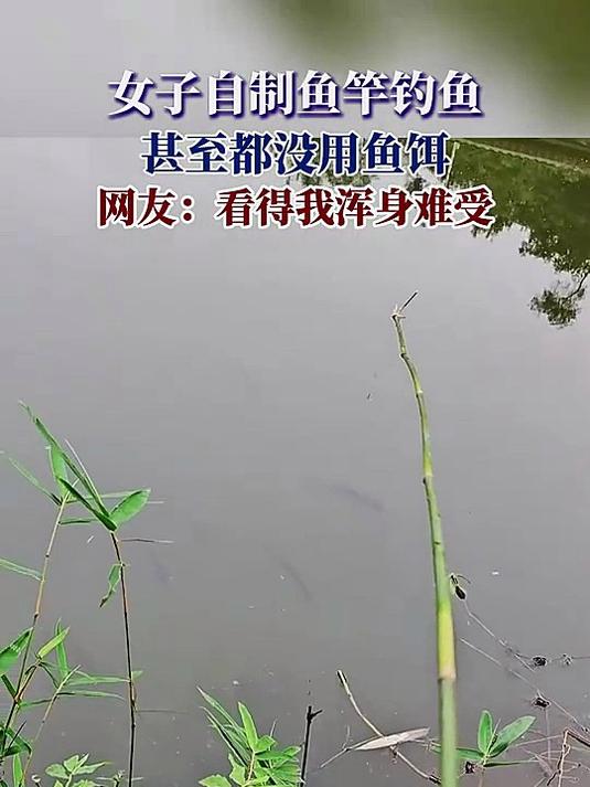 女子自制鱼竿钓鱼,甚至都没用鱼饵,网友:看得我浑身难受