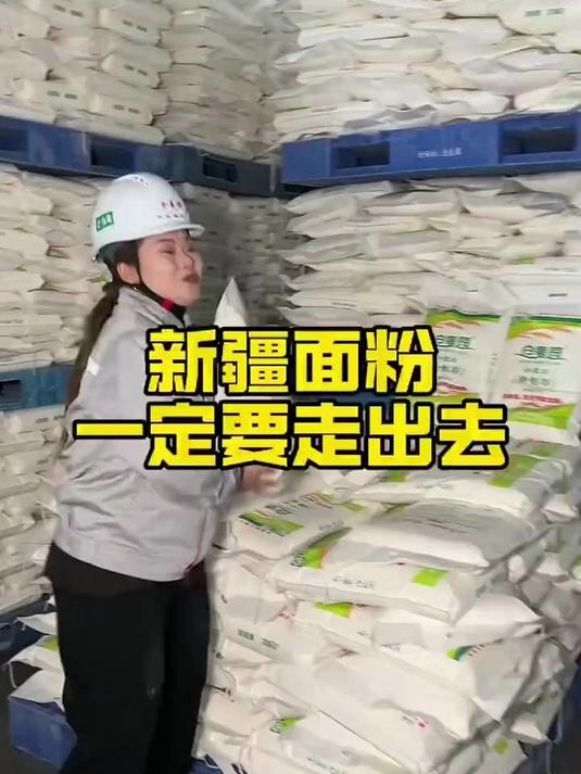 精致小麦粉特一粉饺子包子馒头拉条子强筋中高筋新疆面