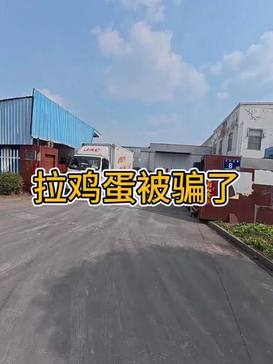 拉一车鸡蛋被骗了，你们说这到底该怎么弄？