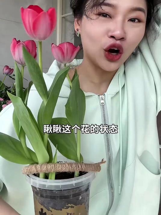 奶茶杯别扔，教你1分钟种花，旧物改造超简单