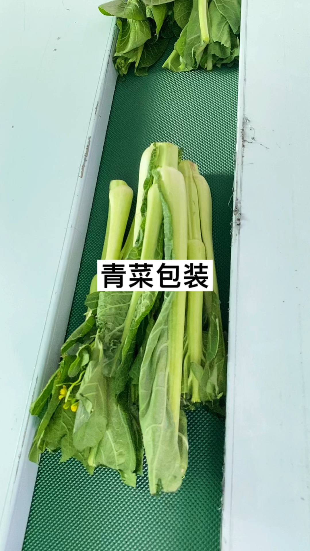 菜心自动包装机 包装好的都是精品蔬菜包装机枕式包装机青菜包装机