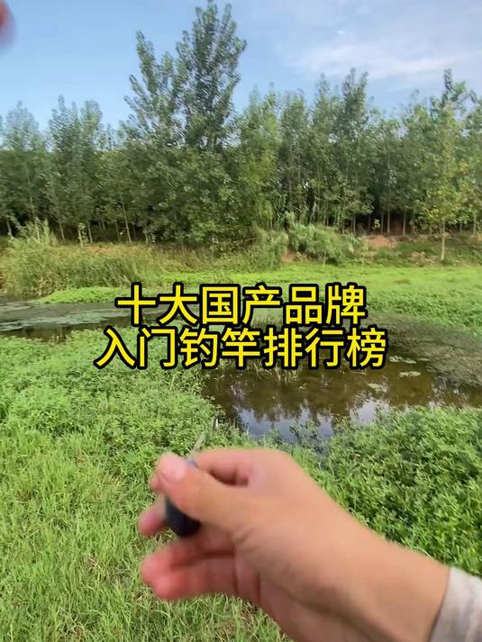 鱼竿小白避坑指南！十大最耐造国产竿，专攻大鱼