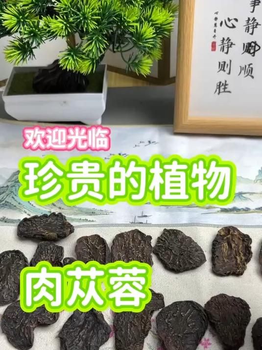 肉苁蓉,主产地是内蒙古的比较好