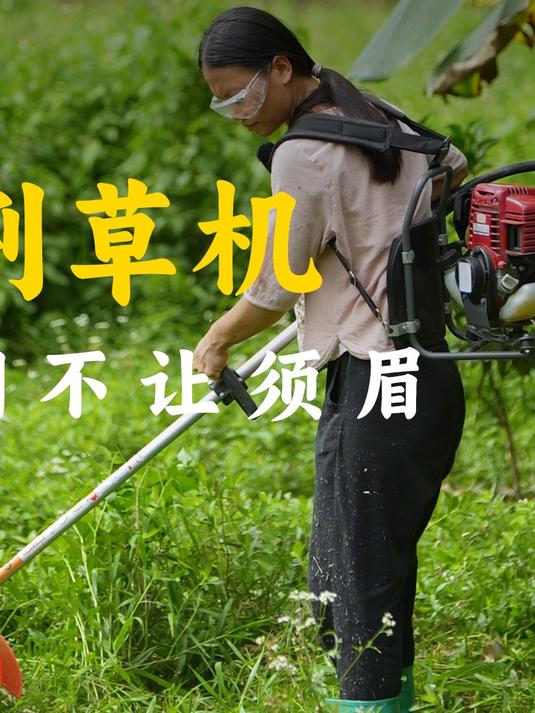 清晨开动割草机清理果园,傍晚炖煮鸡翅胡萝卜,家常美味最暖心