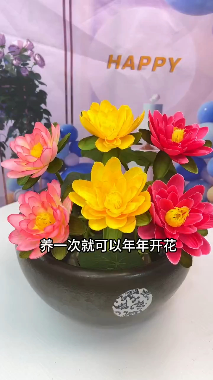 别看它长的丑,开花非常好看,给水就能存活,不挑环境和水质 #花卉绿植 #水培植物