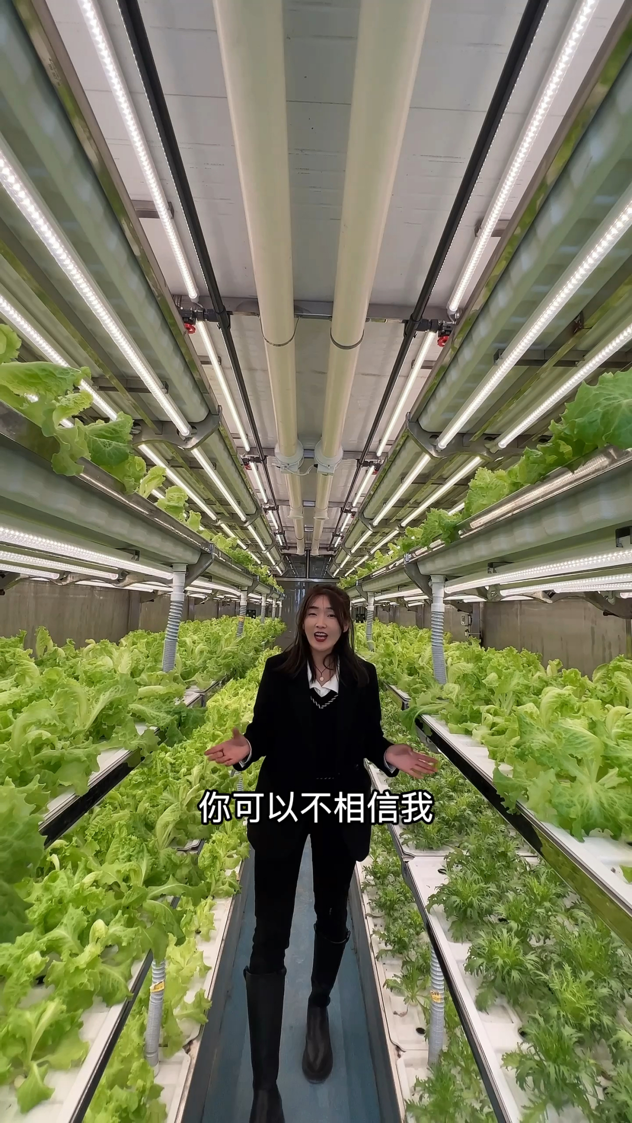 这是一个特殊的集装箱,这就是科技的力量!你可以不相信我,但一定要相信科学!