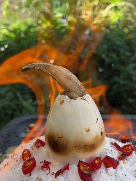 这是变异白色鲶鱼吗？（人工养殖，请勿模仿）