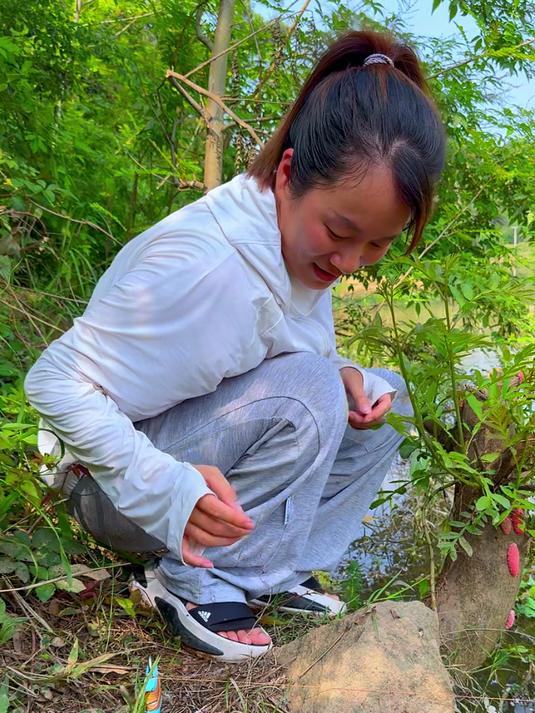 刚下完50把钩子回来看就发现钓到甲鱼了