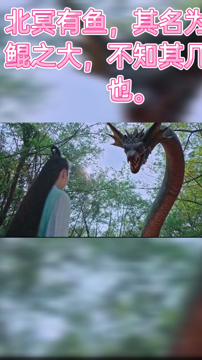 视频片段(海大鱼)