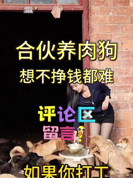 不想打工就养狗,合伙养殖肉狗,免费扶持