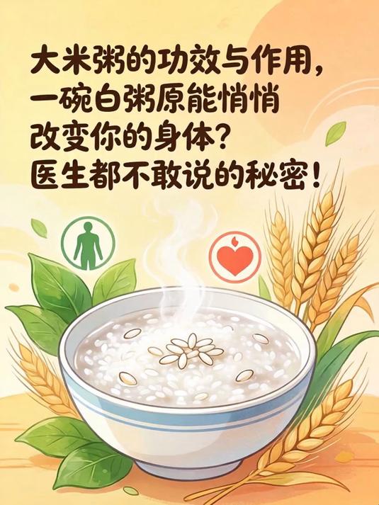 大米粥的功效与作用，一碗白粥竟能悄悄改变你的身体？医生都不敢说的秘密！