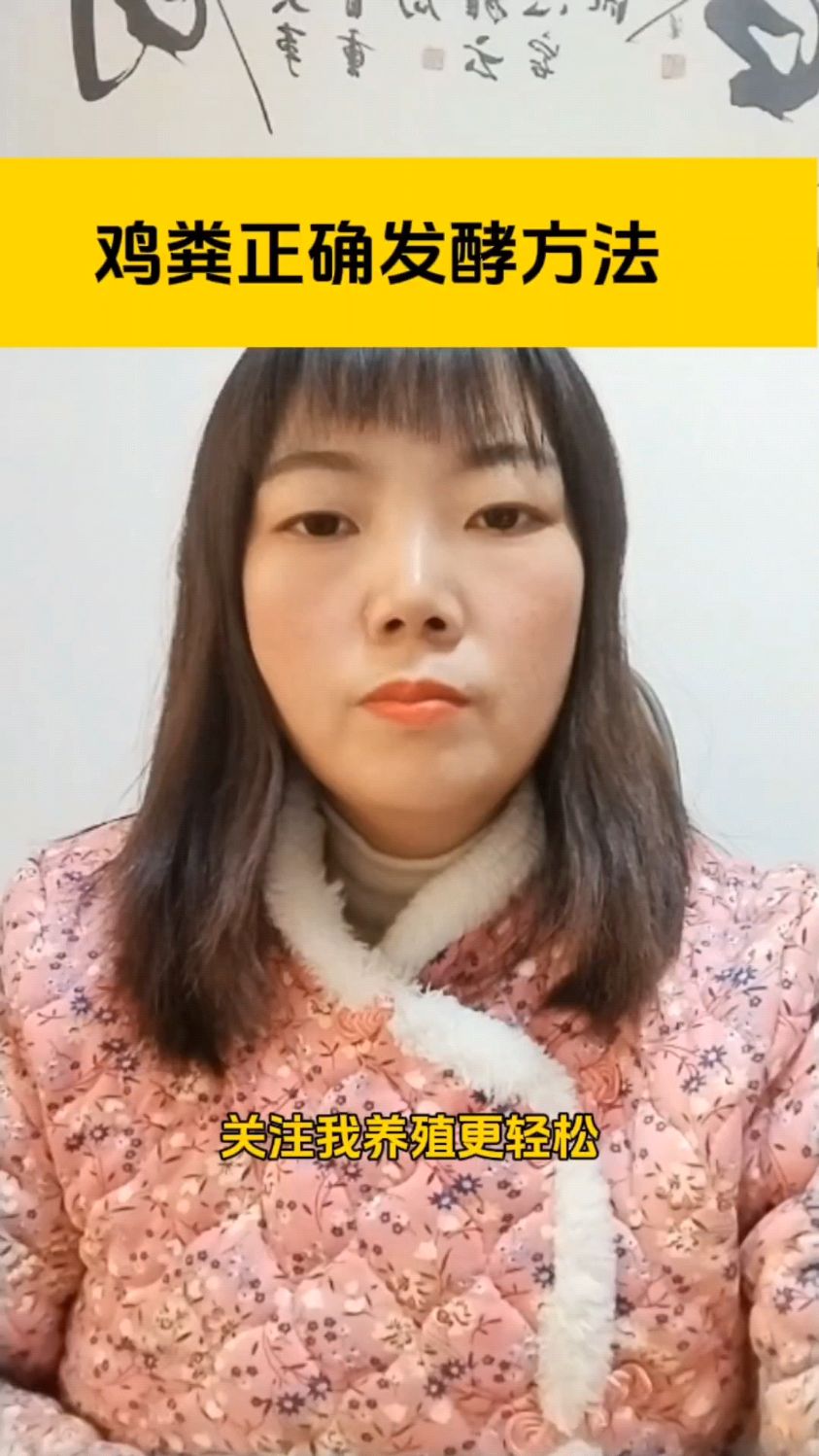 鸡粪正确发酵方法