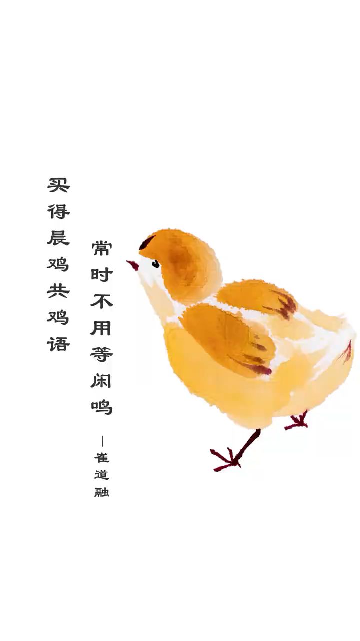 今天60秒教你画小鸡