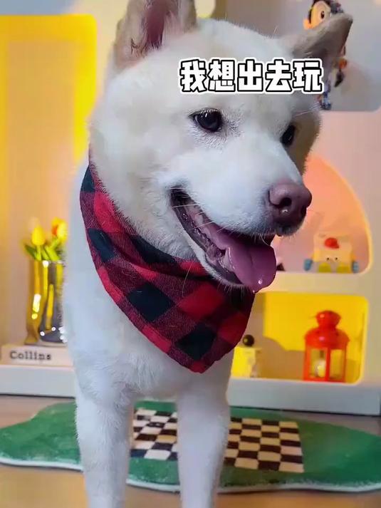姨姨们～想吃炸鸡和奶茶～怎么办!哈喇子淌成河了