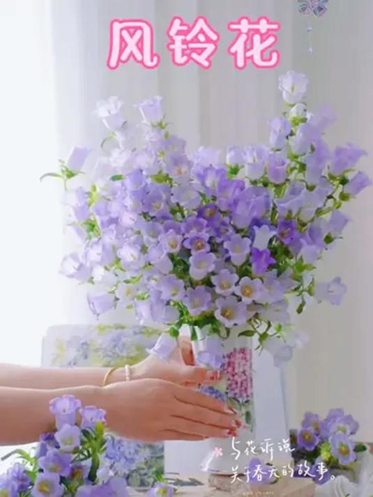 风铃花美醉人心,生活小确幸常新,平凡琐碎也浪漫
