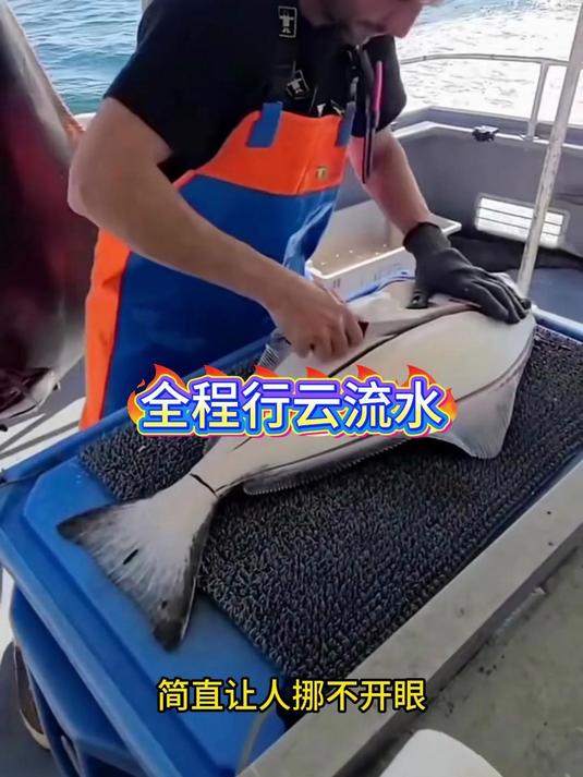 这解剖鱼的手法也太丝滑了!到底是什么鱼?